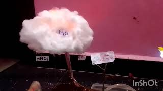 Acid Rain Working Model #school science exhibition project