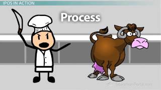 Input, Processing, Output & Feedback Information System Components