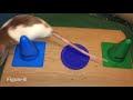 70 incredible rat tricks