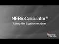 NEBioCalculator® - Using the Ligation module