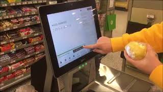 Publix Self-Checkout in Knoxville TN at Turkey Creek