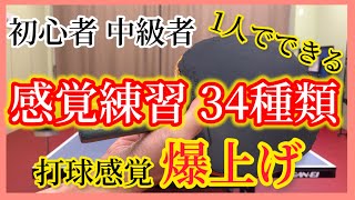 【卓球 感覚①】初心者~中級者は必ず練習してください!!