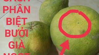 Cách Lựa Mua Bưởi Ngon Ngọt/Cách Chọn Bưởi Chuẩn Già Ngọt # Thúy Long An Vlog