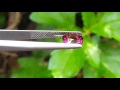 3.38ct neon pink natural rhodolite garnet.