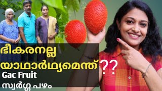 സ്വർഗ്ഗപഴവും ഉടമയെയും തേടി ഒരു യാത്ര | GAC FRUIT in kerala full Details | Heavenly Fruit in kerala