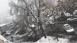 veriqgag13 - Little Snowy Trees