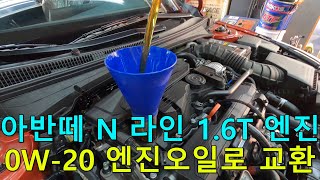 아반떼 N 라인 엔진오일 교환 및 하부 구경 Hyundai Elantra N Line Underbody Review