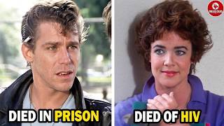 Grease (1978 vs 2026) - Cast : Then and Now [48 Years After]
