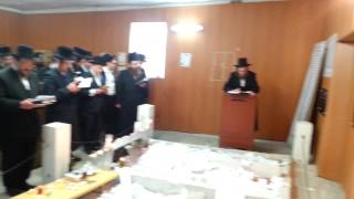 davening at Tiferet Shlomo radomsk 2014