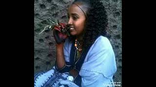 ጉጂ ታውልኽዮ ዲሕርወረ ሓጎስ ሃረፈ hagos harefe