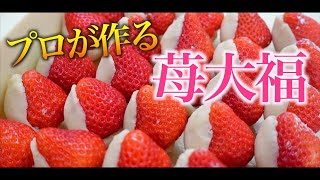 【苺大福】和菓子屋が作る絶品いちご大福の作り方｜Strawberry Daifuku｜和菓子づくり