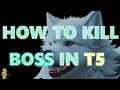 skillfite.io killing boss in t5 after update outdated