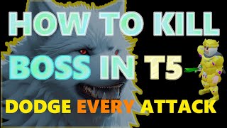 Skillfite.io - Killing boss in T5 After Update (outdated)