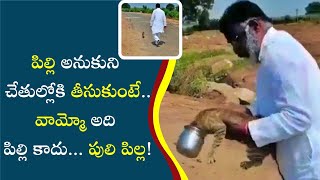 పిల్లి అనుకుని వైఎస్సార్ టీపీ నాయకుడు సాయం చేయబోతే | Hashtagnews