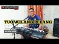 TUO WELANG PELANG || Shale AS || Cover || Abdul Rahman Tona' - Ketua APDESI Kab. Mamasa