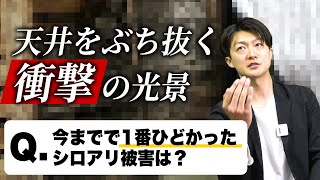 シロアリの疑問についてお答えします！よく聞かれるシロアリQ＆A12選