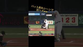 【爽快‼︎】バット折れシーンで音ハメしたら気持ち良すぎたww#阪神タイガース #mlb #wbc #プロ野球 #大谷翔平 #侍ジャパン #読売ジャイアンツ #ダルビッシュ有 #メジャーリーグ