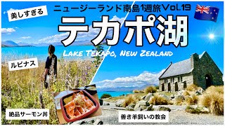 19【ニュージーランド】美しすぎるテカポ湖で食べる絶品サーモン丼｜善き羊飼いの教会｜一面のルピナス｜ミルキーブルーの湖｜Lake Tekapo,New Zealand🇳🇿