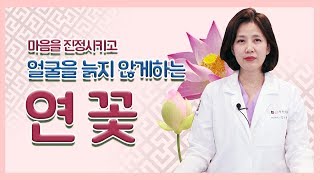 얼굴을 늙지 않게 하는 '연꽃'