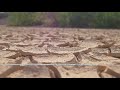 deep concern about food security in Eastern Africa.