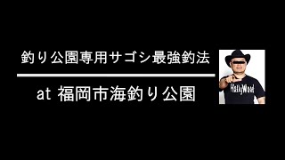 釣り公園専用サゴシ最強釣法解説【福岡市海釣り公園】