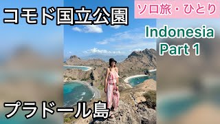 【女子一人旅】コモド国立公園でハイキング　プラドール島　インドネシア