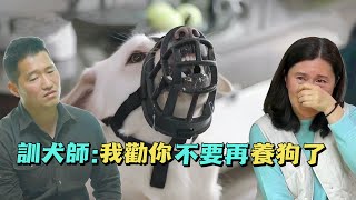 孩子淪為寵物狗的玩物，母親卻還說它是個天使，訓犬師被氣的當場走人