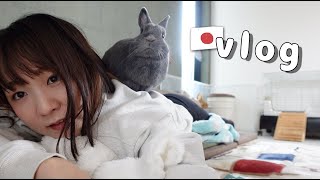 【日本微鄉下生活vlog】吃半價美味壽司🍣、把Ruri醬的空間改造🐰、又去看電影etc...