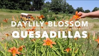 Daylily Blossom Quesadillas