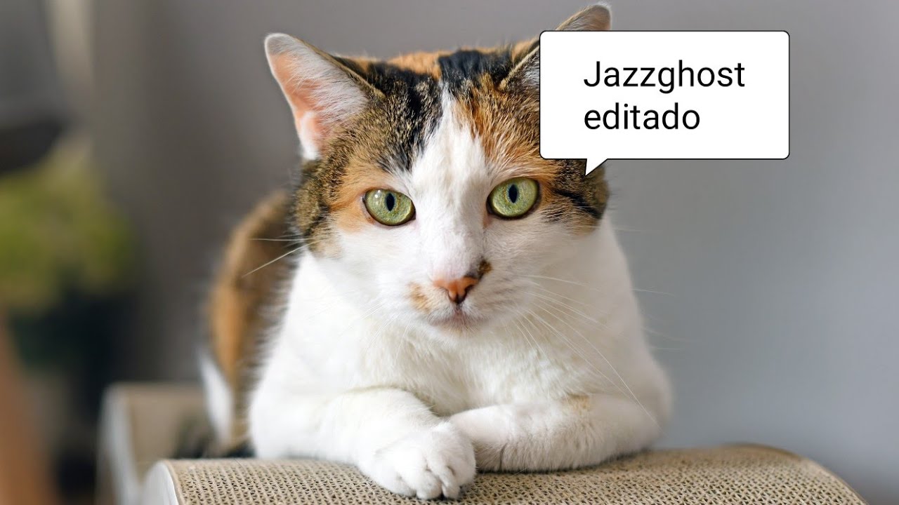 Editando Vídeo Do Jazzghost Youtube