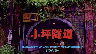 【閲覧注意】本当の小坪隧道　GoogleEarthで見つけたガチで違和感を持つ写り込み‼️「赤い空間に縦横に這う謎の黒い線‼️」