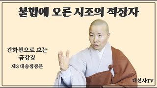 간화선으로 보는 금강경 - 제3 대승정종분