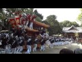 深井だんじり祭り 宮入風景 深井北町のだんじり 野々宮神社境内 2015.10.04