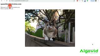 cPanel Tutorials How to Use the Force HTTPS Redirect Feature