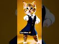 cat dance 😻 l cute kitten cat lovecats cats catvideos kittens catlover princesscat kitten