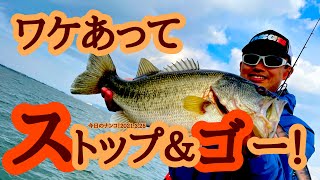 【今日のナンコ！2021.3.25】ワケあってストップ\u0026ゴー！【琵琶湖バス釣り】