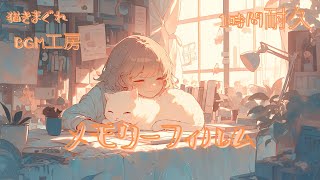 【1時間耐久フリーBGM】「メモリーフィルム」かわいい/睡眠/chill【作業/配信/勉強/読書】