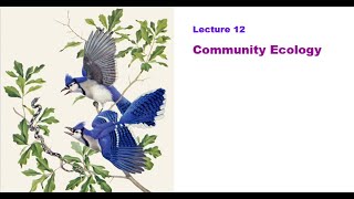 Lecture 12 Community ecology I