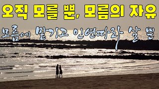 오직 모를 뿐, 모른다는 진실, 모름 속에 완전히 내맡기라, 인연따라 그저 살 뿐, 머리가 아닌 가슴을 따라 - 19년 참선법회