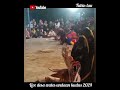 Singo barong mengamuk || kesaktian cambuk milik warok || live desa wates undaan kudus tahun 2024.