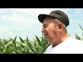 farmer to farmer the truth about gmo crops u0026 monsanto