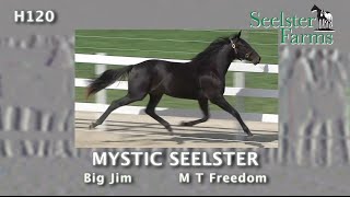 H120 Mystic Seelster