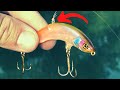 This NEW Japanese LURE Is A WACKY RIGGED TOPWATER?? (The PikuPiku)