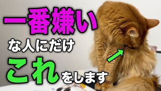 【保存版】家族で一番嫌いな人にしか見せない行動8選