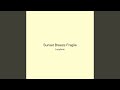 Sunset Breeze Fragile