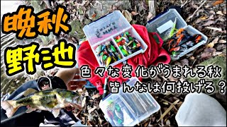 【大分県バス釣り】晩秋の野池みんななら何投げる？