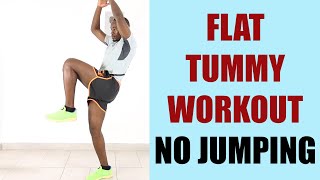 29.21 Minute Standing Flat Tummy Workout No Jumping/ Belly Burner Routine