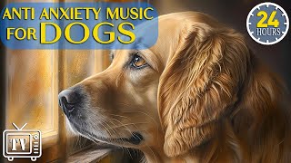 24 Hours of Anti Anxiety Music for Dogs 🐶 Cure Separation Anxiety with Dog Music \u0026 Sleep Music Dogs