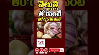 వెల్లుల్లి తోడుంటే ఆరోగ్యం మీ వెంటే | Health Benefits Of Eating Garlic Everyday | CVR Health