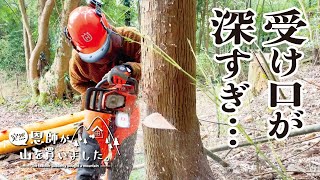 【杉の伐倒】お風呂小屋を作るための木材を裏山からコツコツ調達（305話）